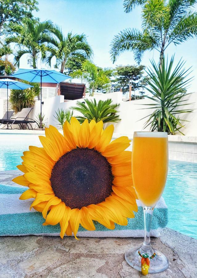 Casa Verde Hotel リンコン エクステリア 写真